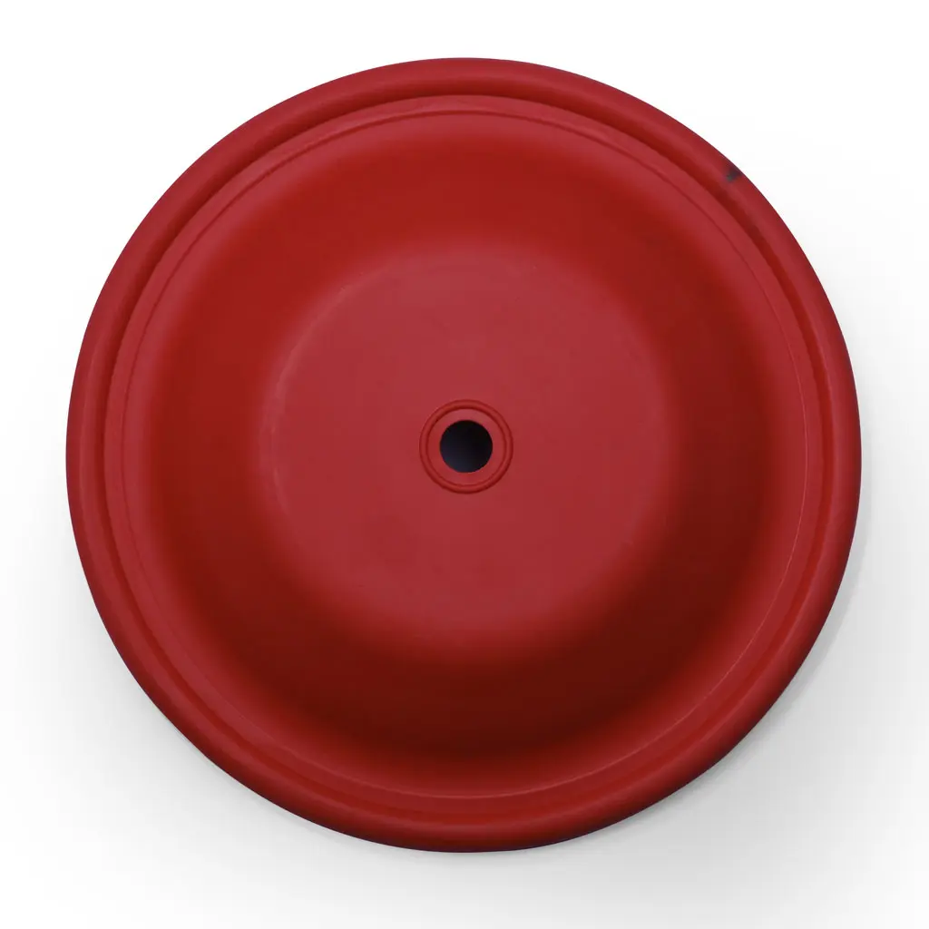 21-Diaphragm-Viton---1inch_02.webp