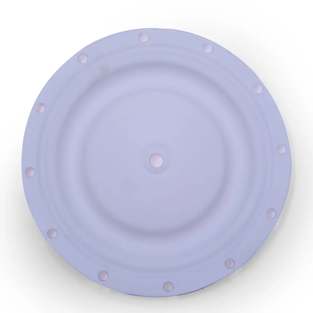30-Diaphragm-Teflon---1.5inch_01.webp