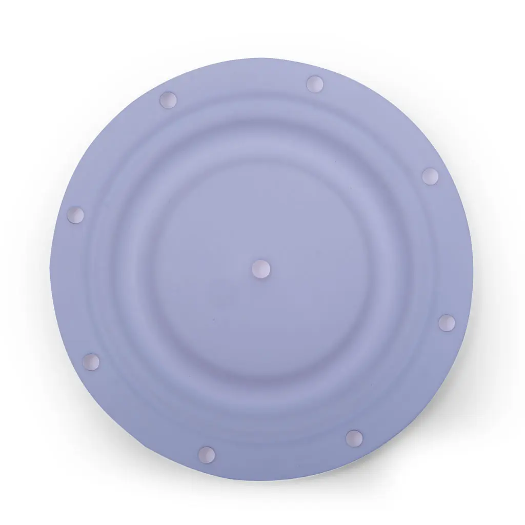 31-Diaphragm-Teflon---1-inch_01.webp