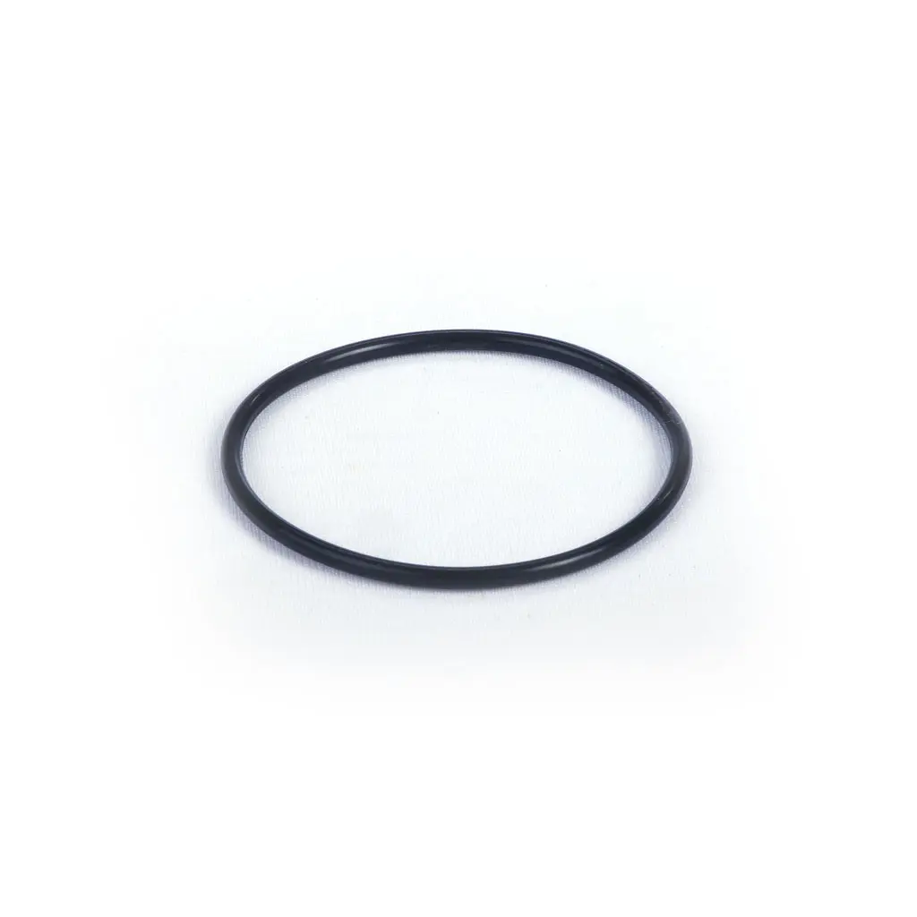 O-RING FPM (1 08 080 09)