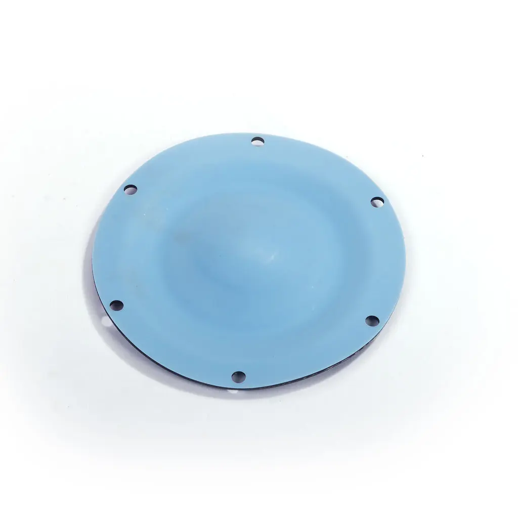 DIAPHRAGM TEFLON (1 1550 05)