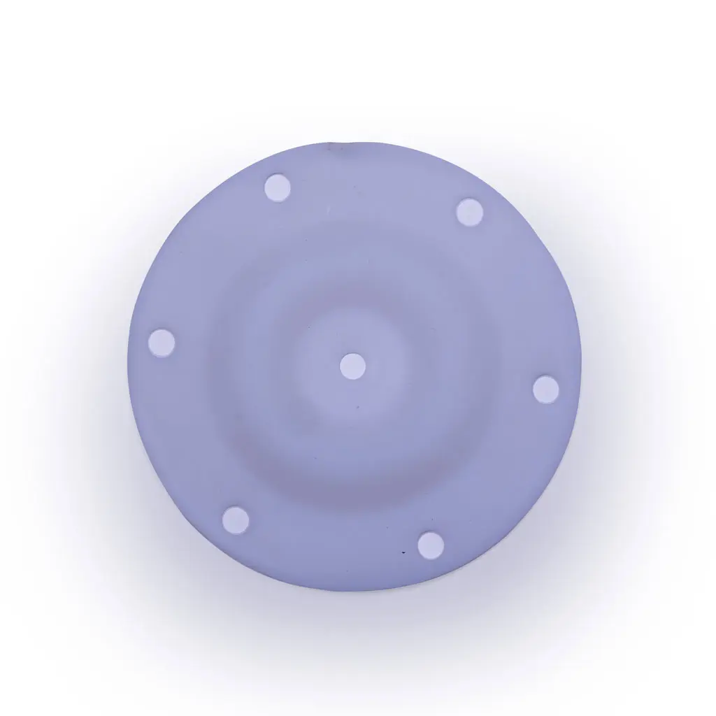 DIAPHRAGM PTFE POLY - 1/4" (06-063)