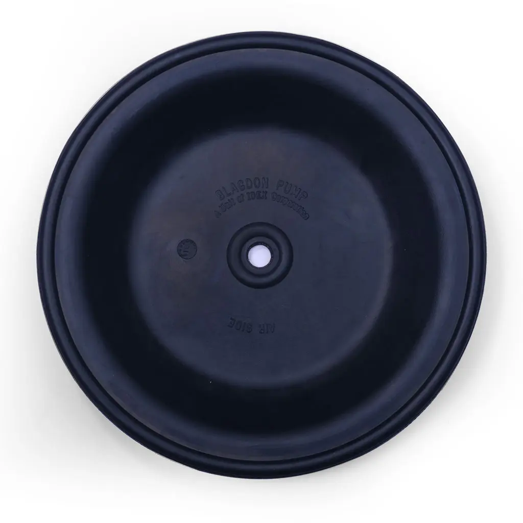 DIAPHRAGM (1B-001)