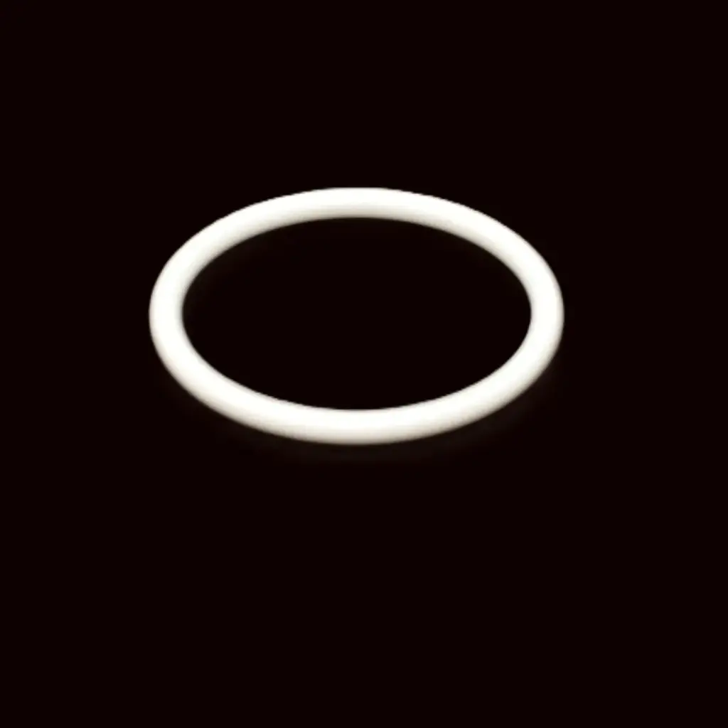 O-RING PTFE-EXB
