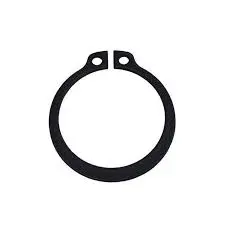 RETAINING RING (B675.037.080) 