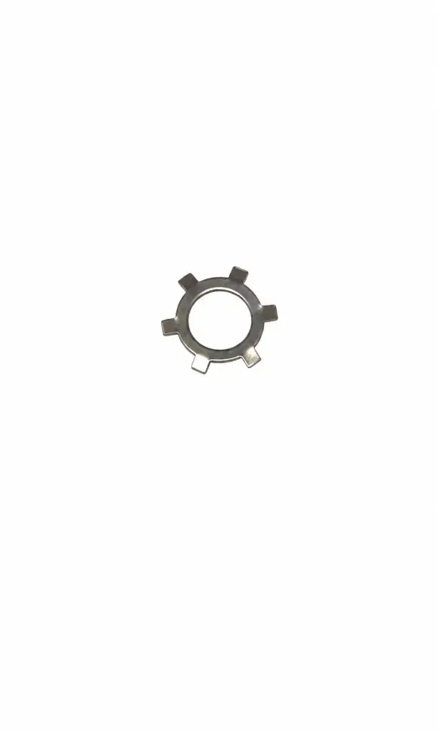 RETAINING RING-EXB (B675-042-115)