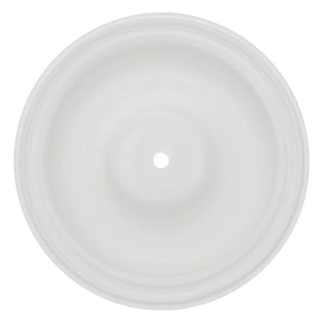 DIAPHRAGM FULL-STROKE 1" - PTFE
