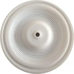 Diaphragm Primary PTFE