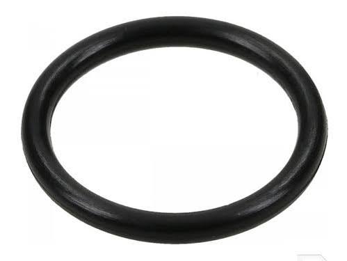 Manifold Sealing Ring (Nitrile / Buna-N)