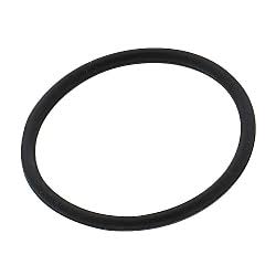 Flanged Manifold Gasket O-Ring, 2.50" x 0.265" (Saniflex)