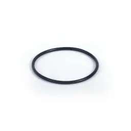 O-RING FPM (1 08 080 09)