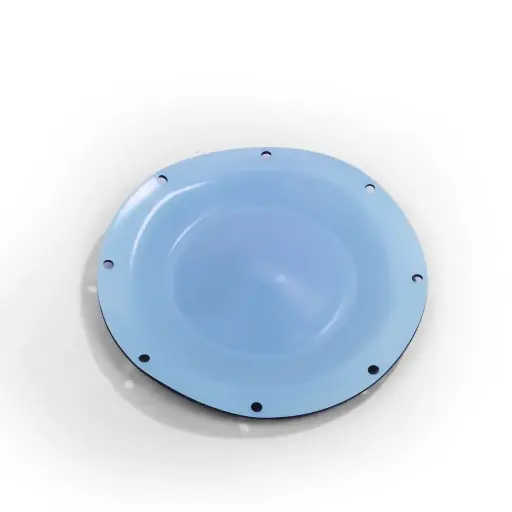 [1 50 50 05] DIAPHRAGM TEFLON (1 50 50 05)