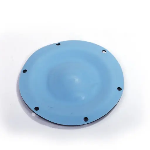 [1 40 5005] DIAPHRAGM TEFLON (1 40 5005)