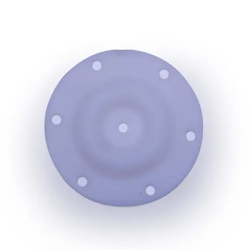 [06-063] DIAPHRAGM PTFE POLY - 1/4" (06-063)