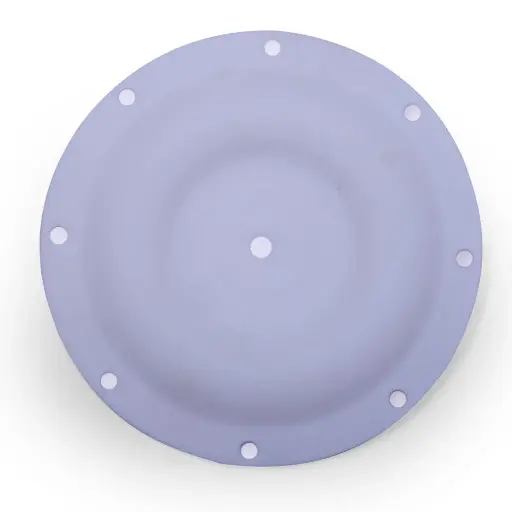 [1A-071] DIAPHRAGM TEFLON - 1" (1A-071)