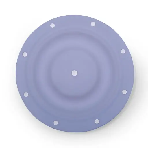 [25-016] DIAPHRAGM TEFLON - 1" (25-016)