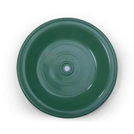 [1B-054] DIAPHRAGM PTFE BACKUP - 2" (1B-054)