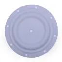 DIAPHRAGM TEFLON - 1.5" (40-020)