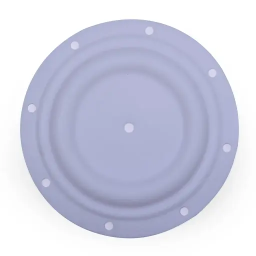 [40-020] DIAPHRAGM TEFLON - 1.5" (40-020)