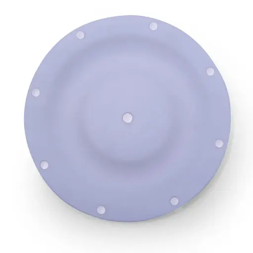 [286.078.600] DIAPHARGM PTFE 3" (286.078.600)