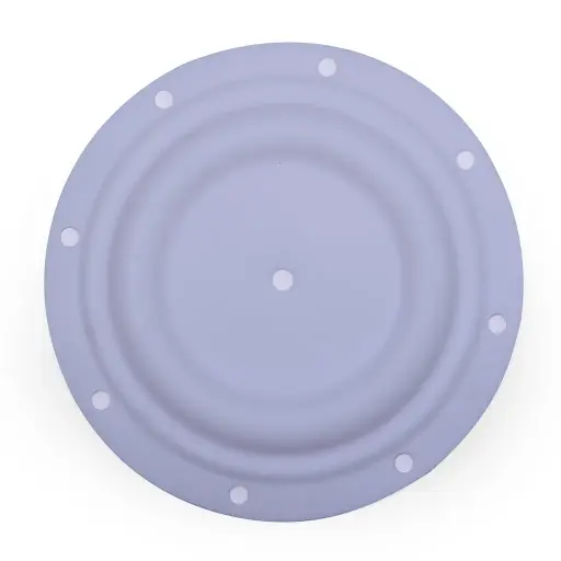 [06-141] DIAPHARGM TEFLON 1/4" (06-141)