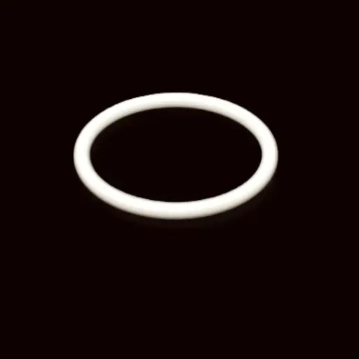 [G-461] O-RING  VALVE SEAT 