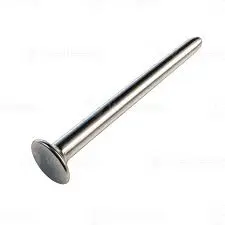 [B620.020.115] PLUNGER-ACTUATOR - EXB (B620.020.115)