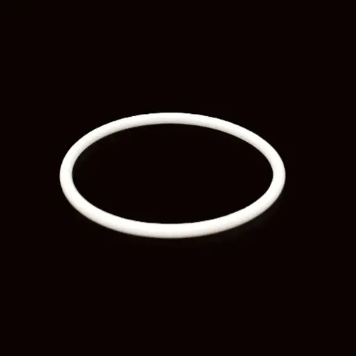 [G 256] O-RING PTFE - EXB