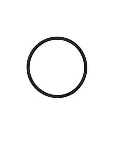 [V 00-1300-60] O-Ring, (.490 X.140)Tfe/Viton