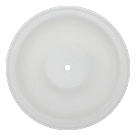 [V 15-1010-55] Diaphragm Primary PTFE