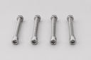 Air Valve Bolt