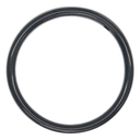 O-RING, (1.233X.165)TF/VT,M2R