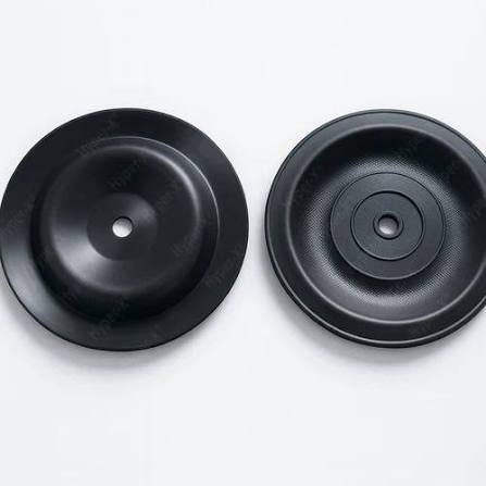 [V 01-1060-53] DIAPHRAGM, BACK-UP, VITON